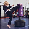 Мешок боксерский напольный CENTURY Little Dragon Kid Kick Wavemaster фиолетовый (101531)