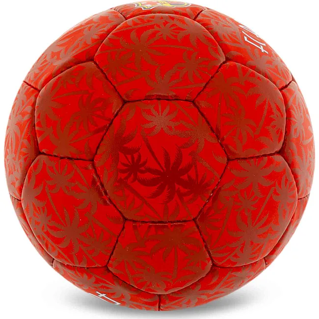 Футбольний м'яч
 BALLONSTAR BARCELONA FB-0047-786 №5 PU