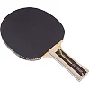 Ракетка для настольного тенниса DONIC WALDNER LEVEL 500 MT-723062