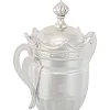 Спортивний кубок нагородний SP-SPORT DIADORAdem JZ195798 48,5см (Золотий)