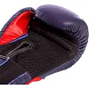 Боксерські рукавиці шкіряні Everlast MA-6757