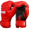 Боксерські рукавиці SportKo ПД2