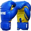 Боксерські рукавиці SportKo ПД2