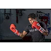 Перчатки для бокса PRO MEX Professional 3.0 Red