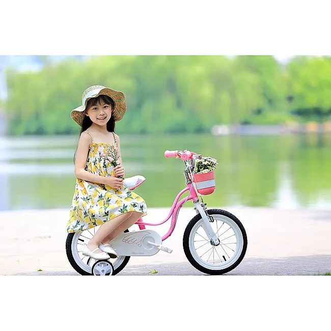 Велосипед для детей ROYALBABY LITTLE SWAN 16", OFFICIAL UA