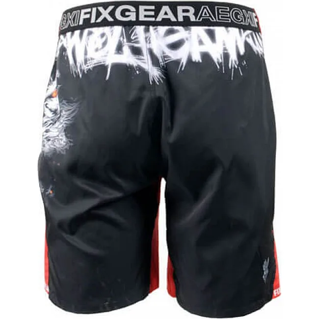 Шорты ММА FIXGEAR FMS-18 Принт