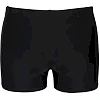 Плавки-шорты для мужчин Arena SCRATCHY SWIM SHORT черный