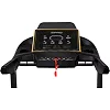 Беговая дорожка электрическая Zipro Pacemaker Gold iConsole+