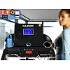 Беговая электрическая дорожка THUNDER ELITE-DS-BLACK