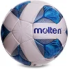 Футбольный мяч
 MOLTEN F5A2811 №5 PU