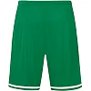 Спортивні шорти striker 2.0 c04 JAKO 4429-06