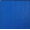 Коврик для фитнеса и спорта SP-SPORT FI-8721 173x61x0,3см (Разные цвета)