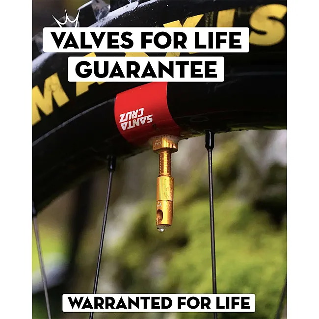Ниппели Peaty's x Chris King Tubeless Valves, 42mm, Black