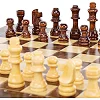 Шахматы шашки нарды 3 в 1 набор настольных игр деревянные Xinliye W7722B
 29см x 29см х 2см