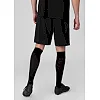 Спортивні шорти Allround JAKO 4499-809