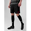 Спортивні шорти Allround JAKO 4499-809