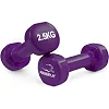 Гантели виниловые POWERPLAY 4125 Achilles 2x2.5кг. Фиолетовые (пара - 2шт)