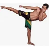 Шорты ММА VENUM Brazilian Flag - Black