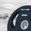 Диск олимпийский THUNDER 15 кг