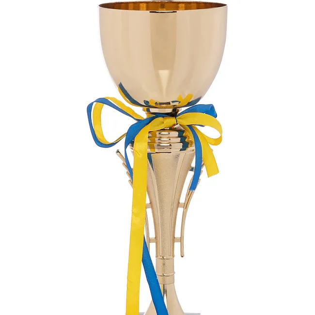 Спортивний кубок
 нагородний SP-SPORT
 Elite C-403
 31,5см
