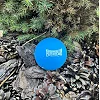 Масажний силіконовий м'яч PowerPlay PP-4354 Silicone Lacrosse Ball (6.3см.) Синій