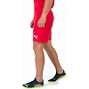 Спортивні шорти чоловічі Puma teamRISE Short червоний