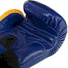 Рукавички для боксу


 шкіряні FAIRTEX
 FTX065 (Синьо-жовтий)