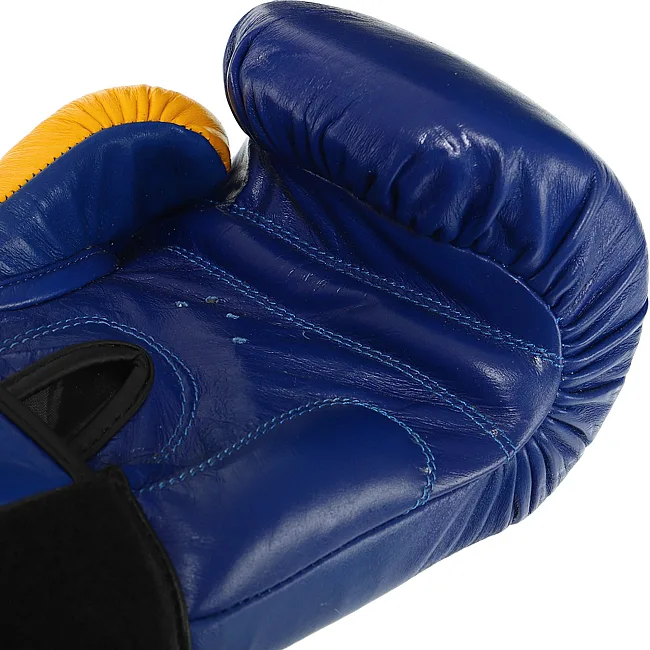 Рукавички для боксу


 шкіряні FAIRTEX
 FTX065 (Синьо-жовтий)