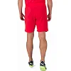 Спортивні шорти чоловічі Puma teamRISE Short червоний