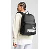Рюкзак Puma PHASE Backpack 22L черный 44х30х14 см