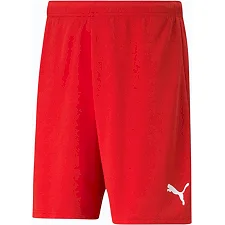 Спортивные мужские шорты Puma teamRISE Short красный