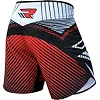 Шорти для ММА RDX Grappling