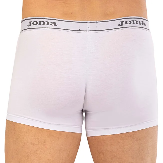 Трусы боксеры мужские JOMA UNDERWEAR 100808-200 2штуки (Белый)