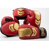 Детский комплект для бокса Everlast PROSPECT 2 BOXING KIT красный, золотой