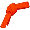 Пояс для кимоно Champion CO-4074