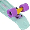 Пенни борд Penny Board круизер пластиковый 22