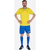 Спортивна футболка Zeus SHIRT MIDA жовтий