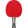 Ракетка для настільного тенісу DUNLOP FLUX DL679335N