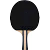 Ракетка для настільного тенісу DUNLOP FLUX DL679335N