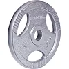 Диск чугунный inSPORTline Hamerton 10 кг
