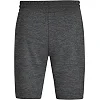 Спортивные шорты premium basics JAKO 8529-21