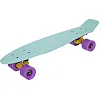 Пенни борд Penny Board круизер пластиковый 22