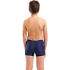 Плавки-шорты для мальчиков Arena DIM LIGHT SWIM SHORT синий, бирюзовый
