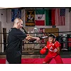 Палки для бокса (лападаны тренерские) TITLE Boxing Precision Training Sticks 2.0 Black