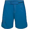 Чоловічі шорти для PERESVIT Core MMA Teal Green
