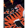 Рашгард для детей MANTO Tigers Tail