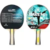Набор для настольного тенниса GIANT DRAGON KARATE P40+ 4star MT-6546 с чехлом