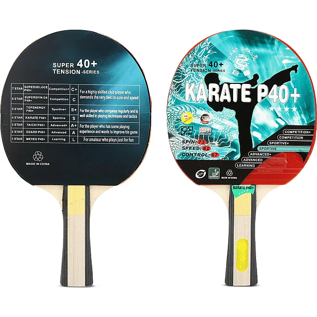 Набор для настольного тенниса GIANT DRAGON KARATE P40+ 4star MT-6546 с чехлом