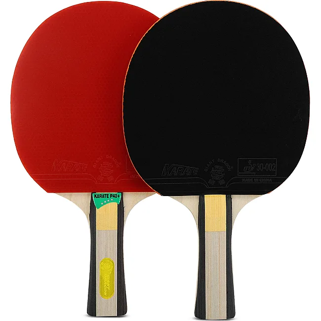 Набор для настольного тенниса GIANT DRAGON KARATE P40+ 4star MT-6546 с чехлом