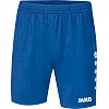 Спортивные шорты premium JAKO 4465-04
